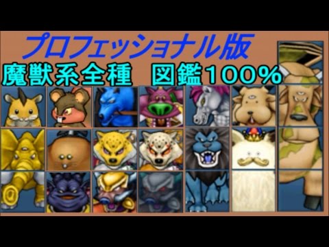 ドラクエジョーカー３プロフェッショナル １０７ 魔獣系１００ プロフェッショナル版 図鑑コンプリート 伝説の魔獣マスター Kazuboのゲーム実況 ゲーム実況bykazubo ゲーム攻略チャンネル ゲーム実況アンテナ