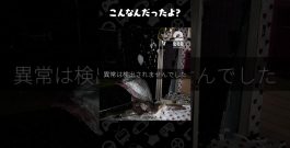 こんなんだったよ?【日本事故物件監視協会2】 #shorts[ゲーム実況by兄者弟者]