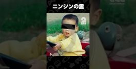 ニンジンの霊【誰かの心霊写真】 #shorts[ゲーム実況by兄者弟者]