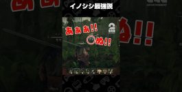 イノシシ最強説【Windrose / ウィンドローズ】 #shorts[ゲーム実況by兄者弟者]